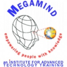 Megamind Training Logo